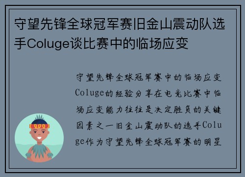 守望先锋全球冠军赛旧金山震动队选手Coluge谈比赛中的临场应变