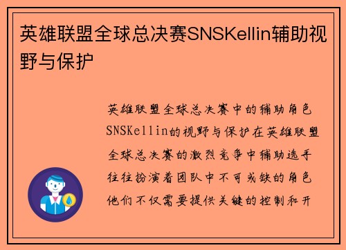 英雄联盟全球总决赛SNSKellin辅助视野与保护